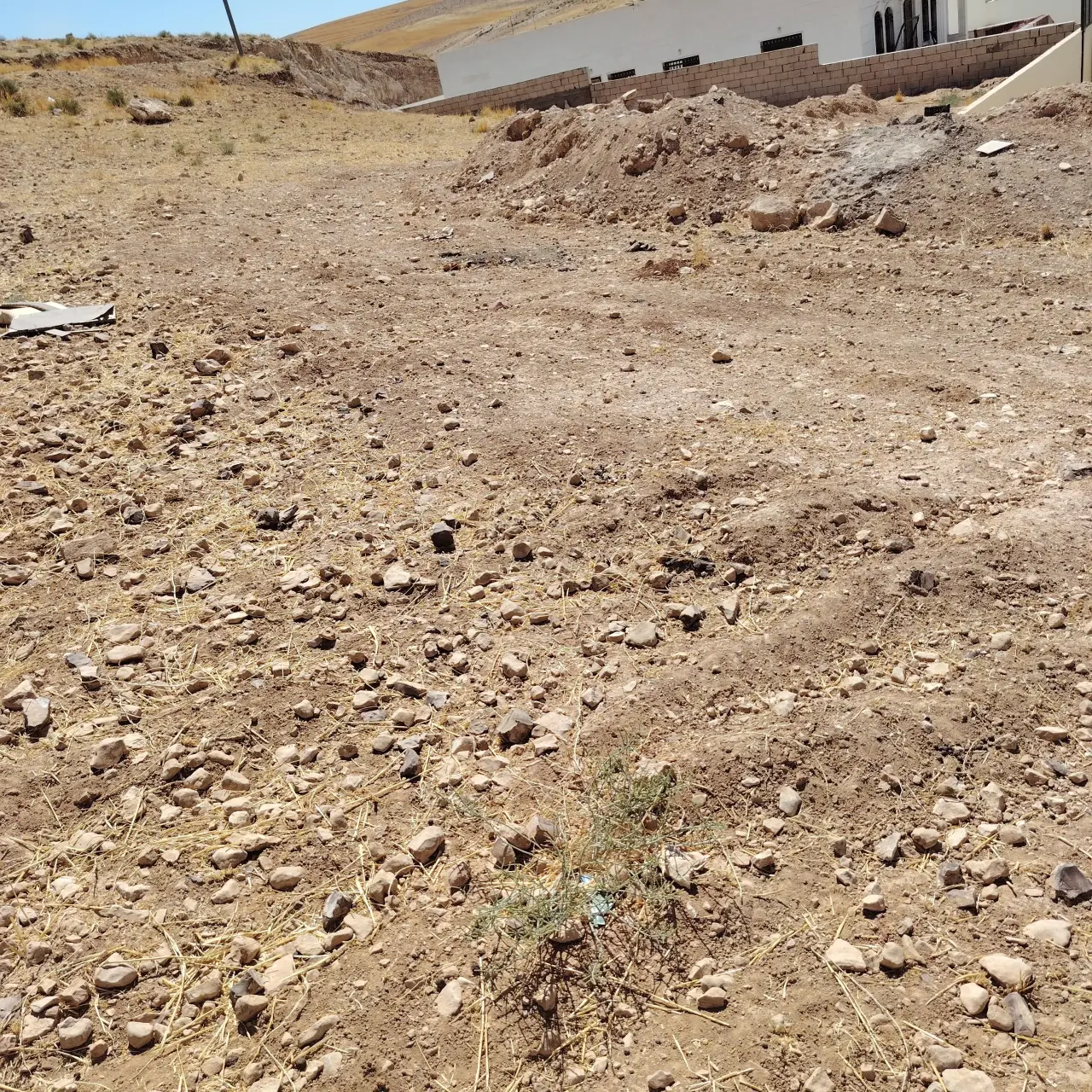 Land for sale in Alkhashafia – photo 9