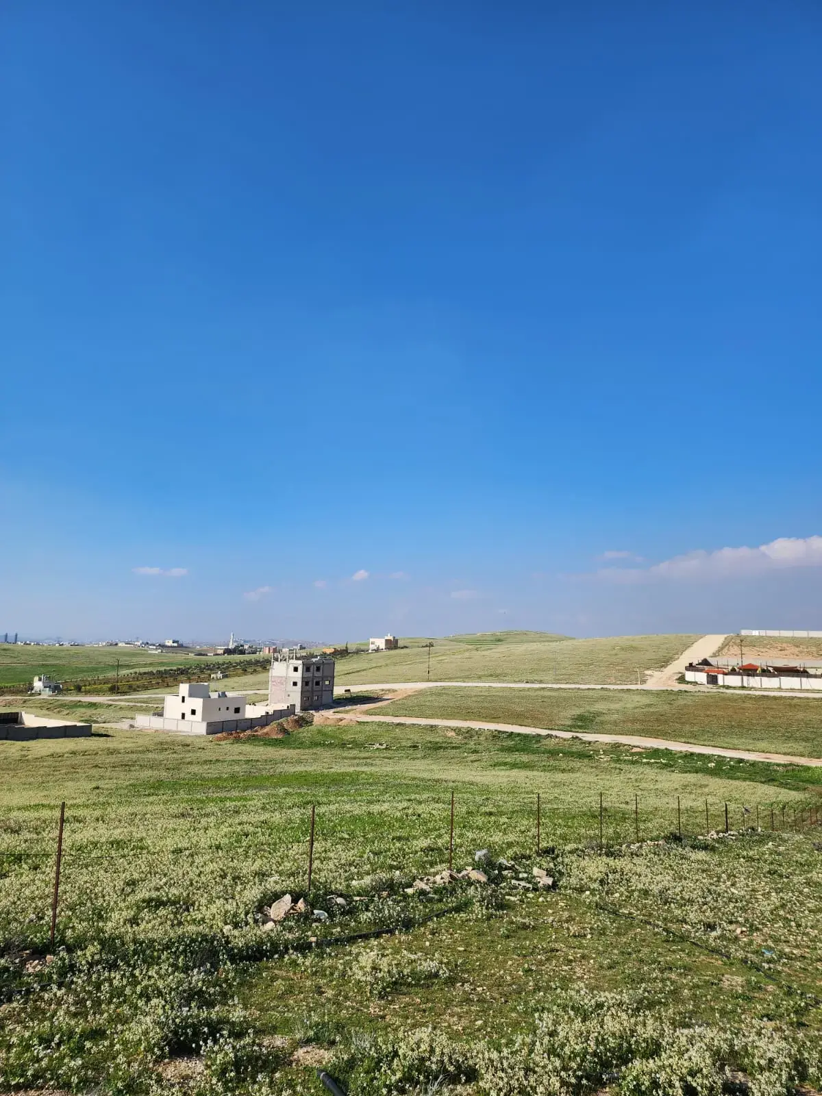Land for sale in Almih St – photo 11