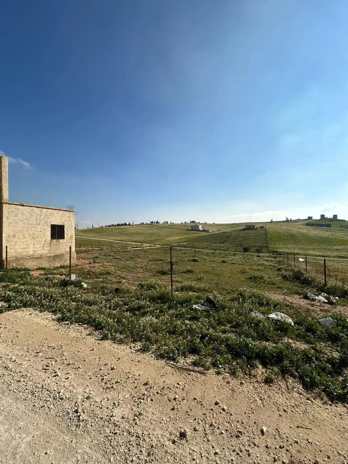 Land for sale in Almih St – photo 6
