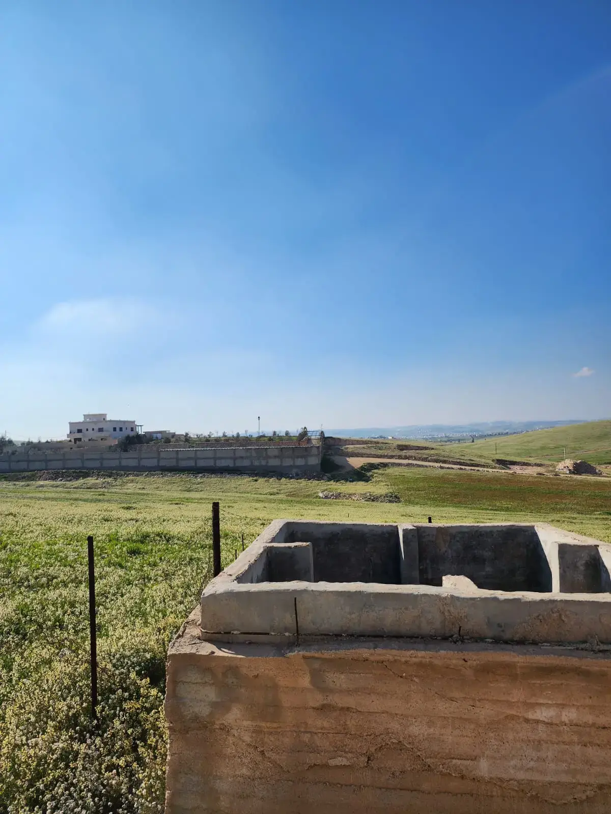Land for sale in Almih St – photo 9