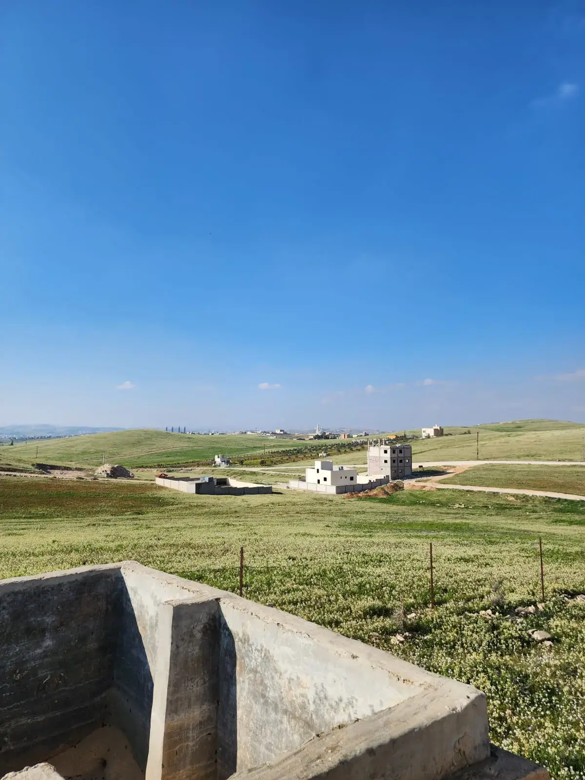 Land for sale in Almih St – photo 10