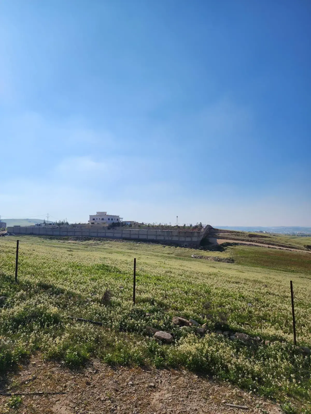 Land for sale in Almih St – photo 3