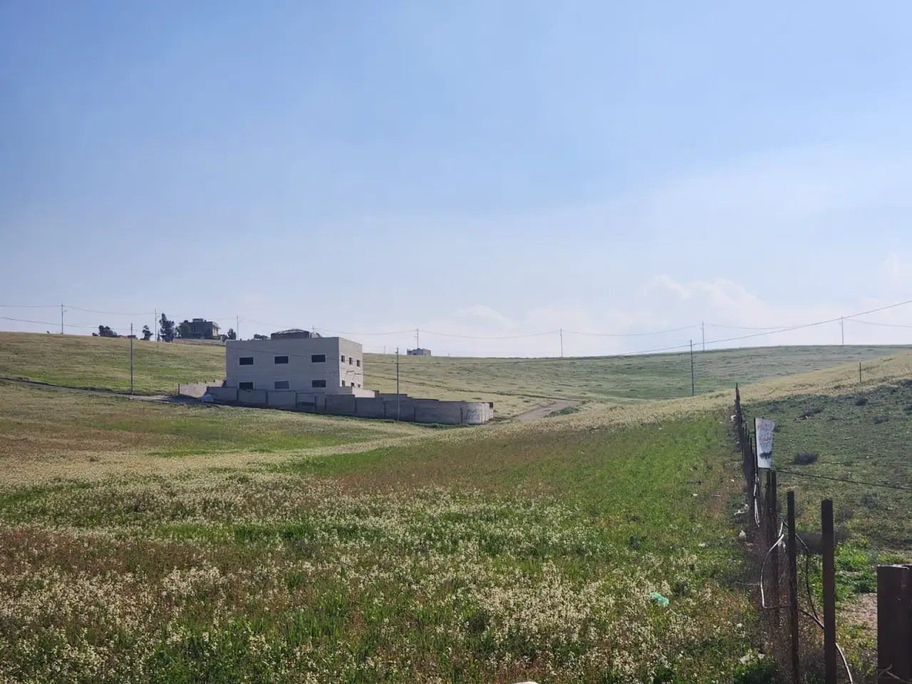 Land for sale in Almih St – photo 2