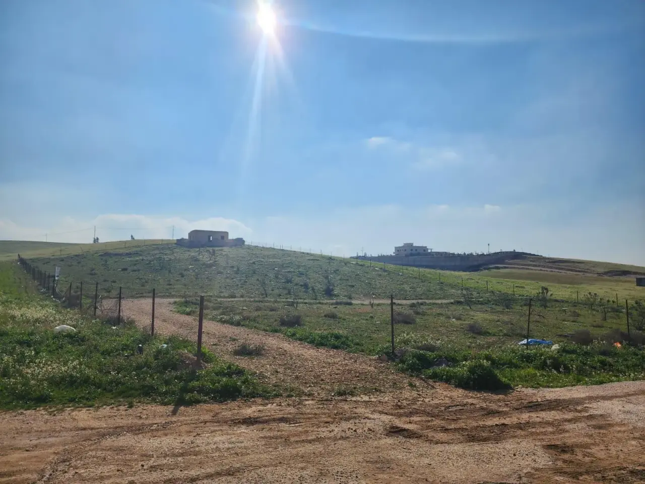 Land for sale in Almih St – photo 8