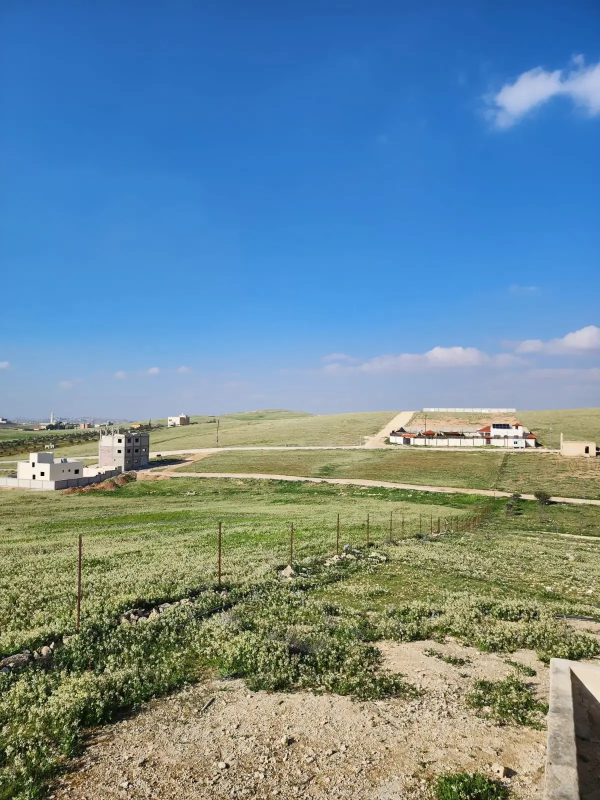 Land for sale in Almih St – photo 5