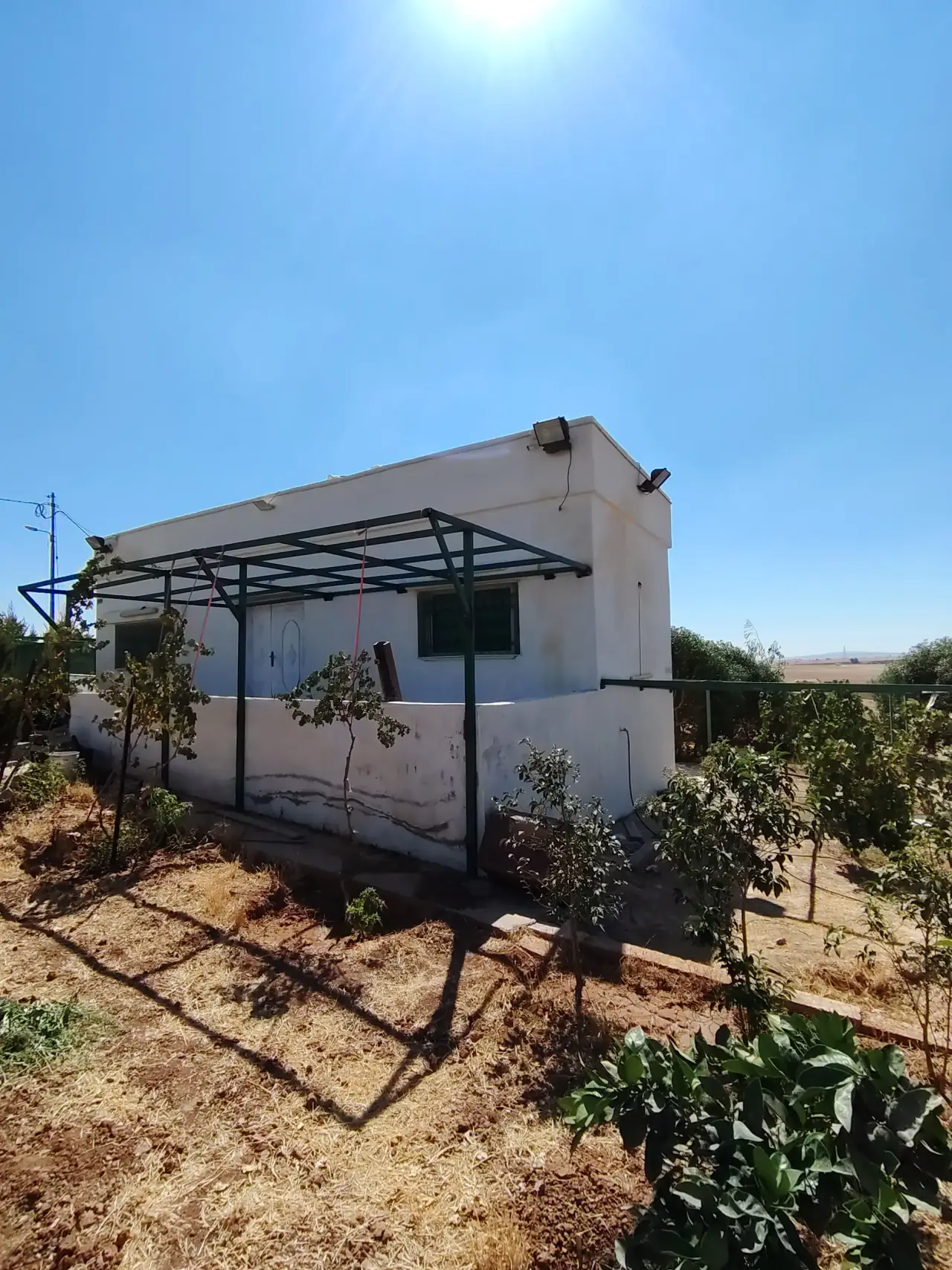 Land for sale in Umm Al-Rasas – photo 6