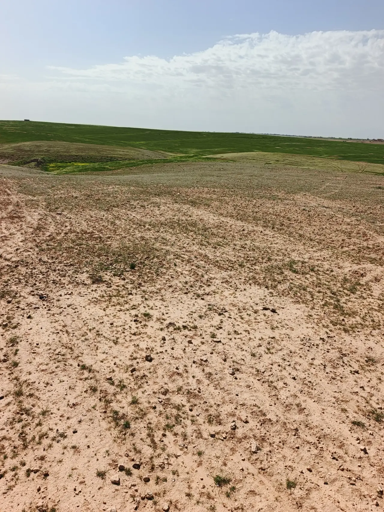Land for sale in Umm Al-Rasas – photo 6