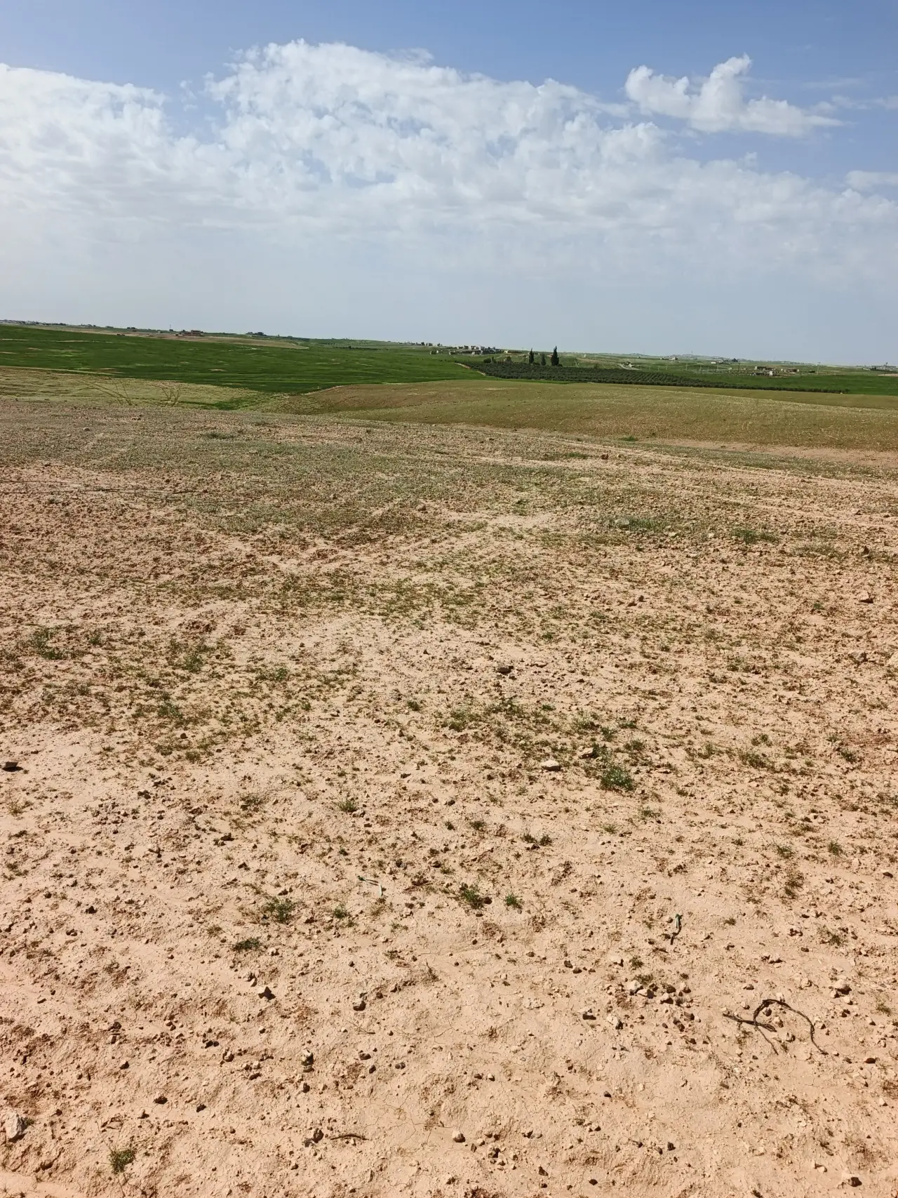 Mixed-use 3,550 m² plot near farms and homes in Al Nahda, Umm Al-Rasas