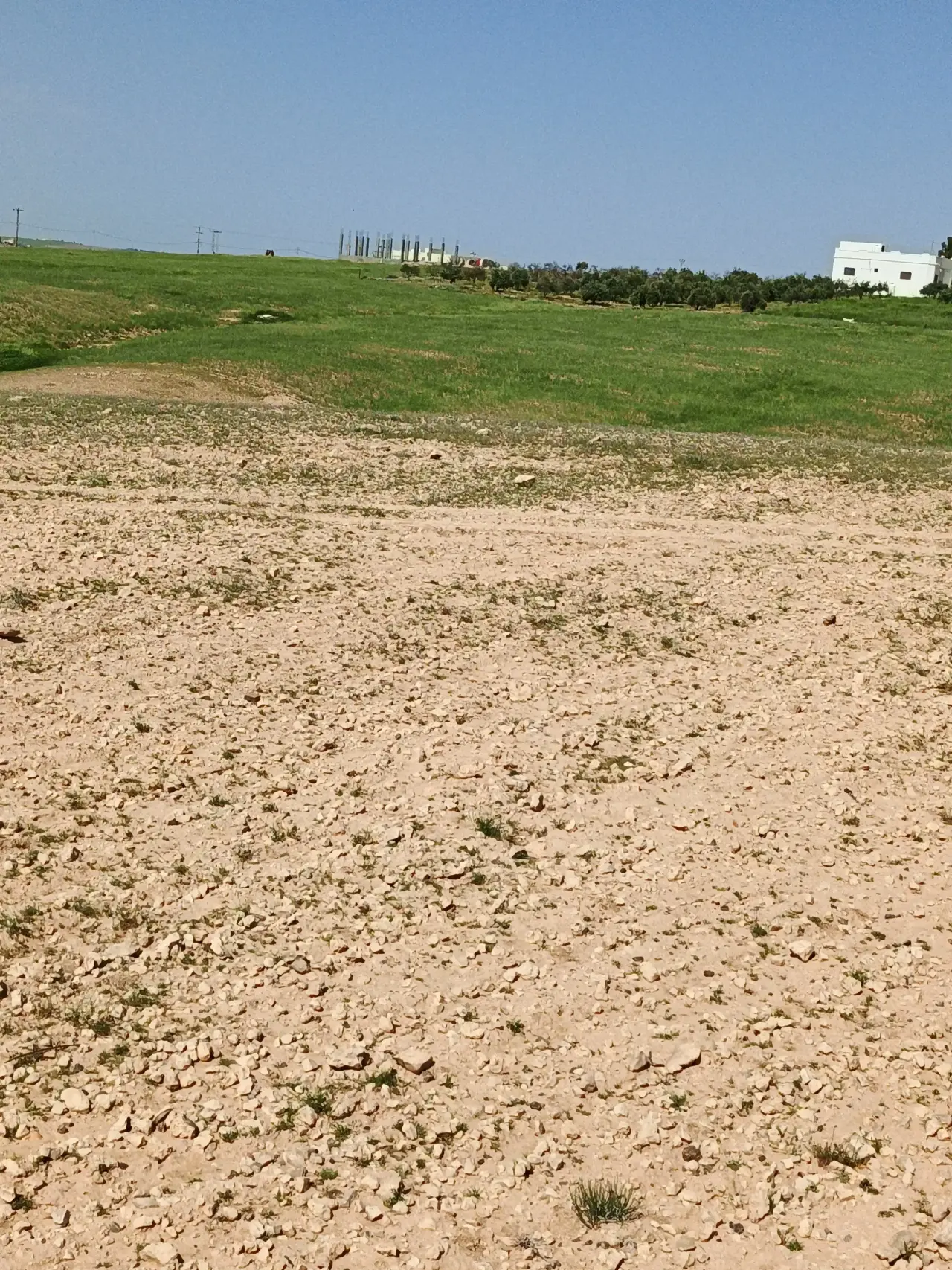Land for sale in Umm Al-Rasas – photo 2