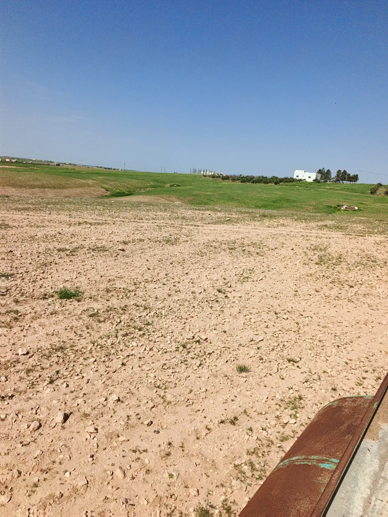 Land for sale in Umm Al-Rasas – photo 9