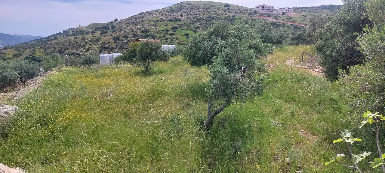 Land for sale in Abu Al-Sous – photo 5