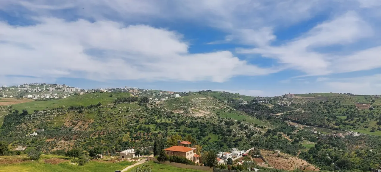 Land for sale in Abu Al-Sous – photo 7