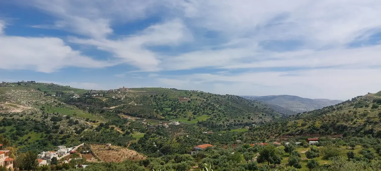 Land for sale in Abu Al-Sous – photo 6