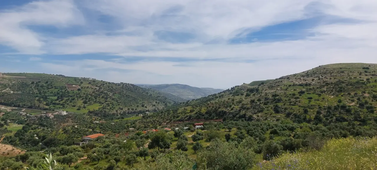 Land for sale in Abu Al-Sous – photo 8