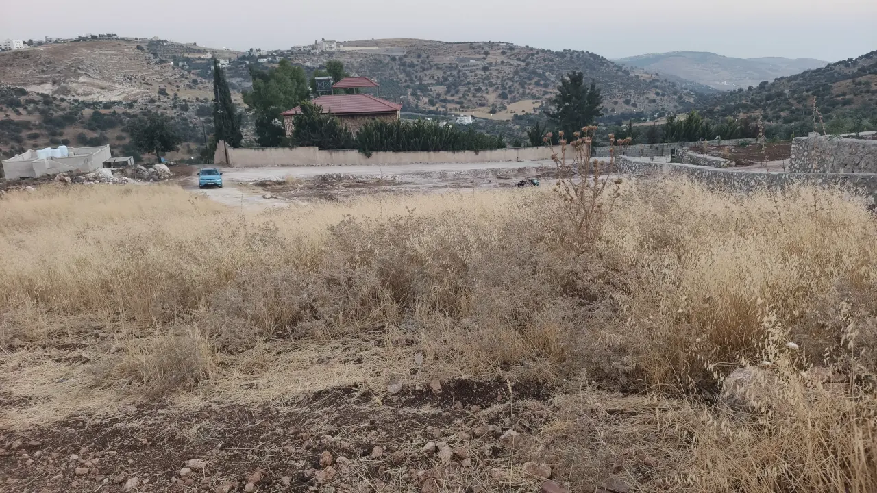 Land for sale in Abu Al-Sous – photo 10