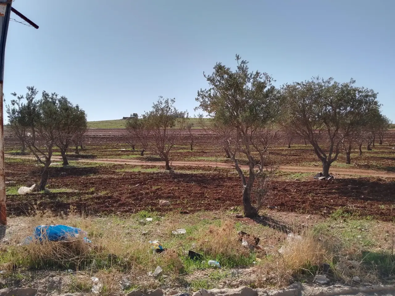 Land for sale in Kharebet Al Sooq and Jawa – photo 3