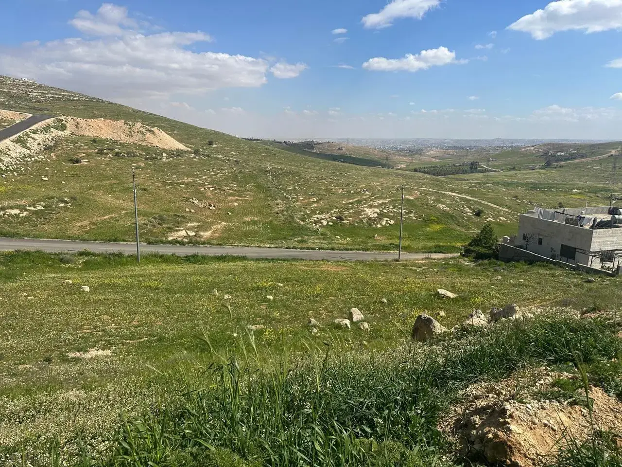 Land for sale in Zinat Al-Rubue – photo 3
