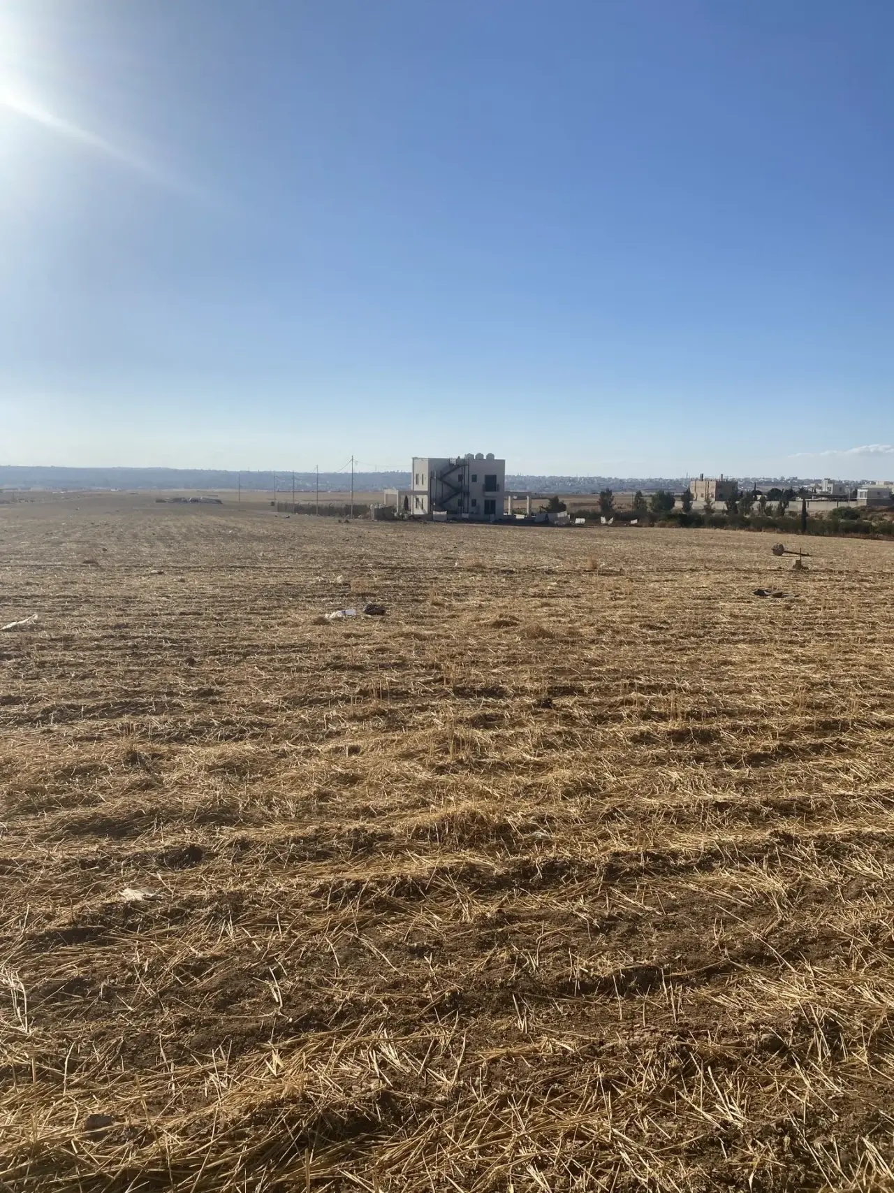 أرض للبيع في جلول – صورة 2