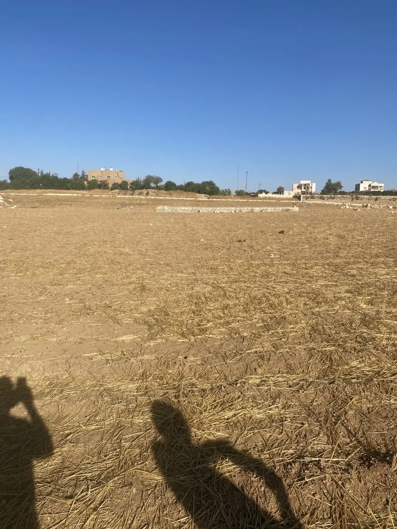 أرض للبيع في جلول – صورة 5