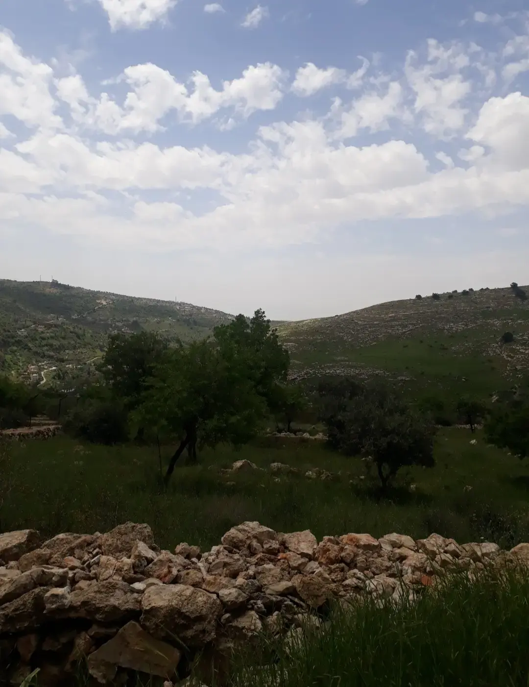 أرض للبيع في ابو النعير – صورة 5