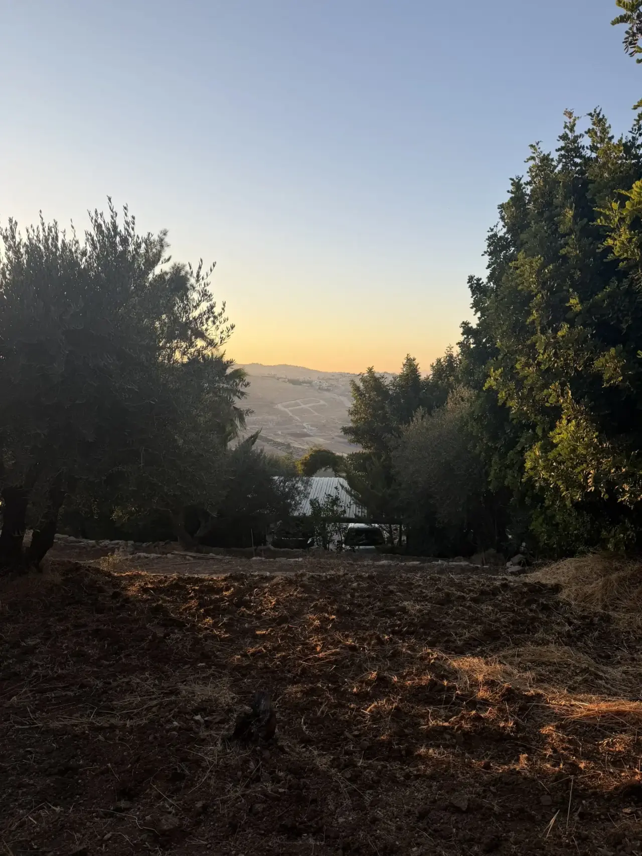 Land for sale in Al Kamaliya – photo 5