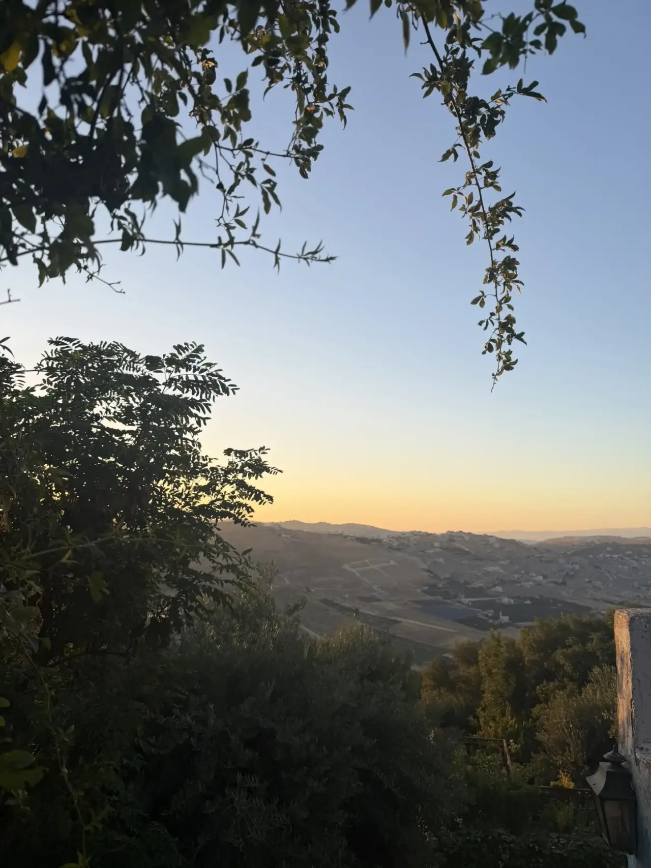Land for sale in Al Kamaliya – photo 8