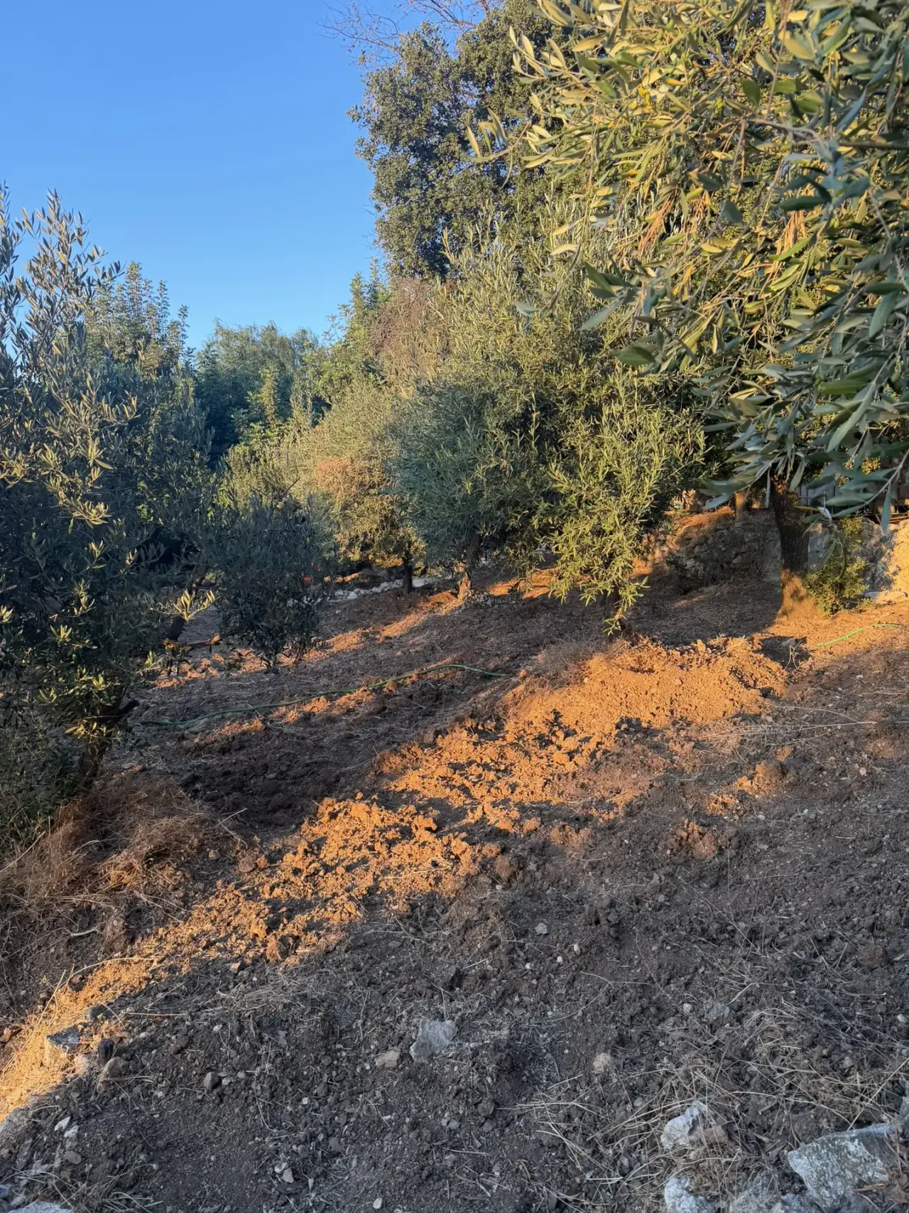 Land for sale in Al Kamaliya – photo 7