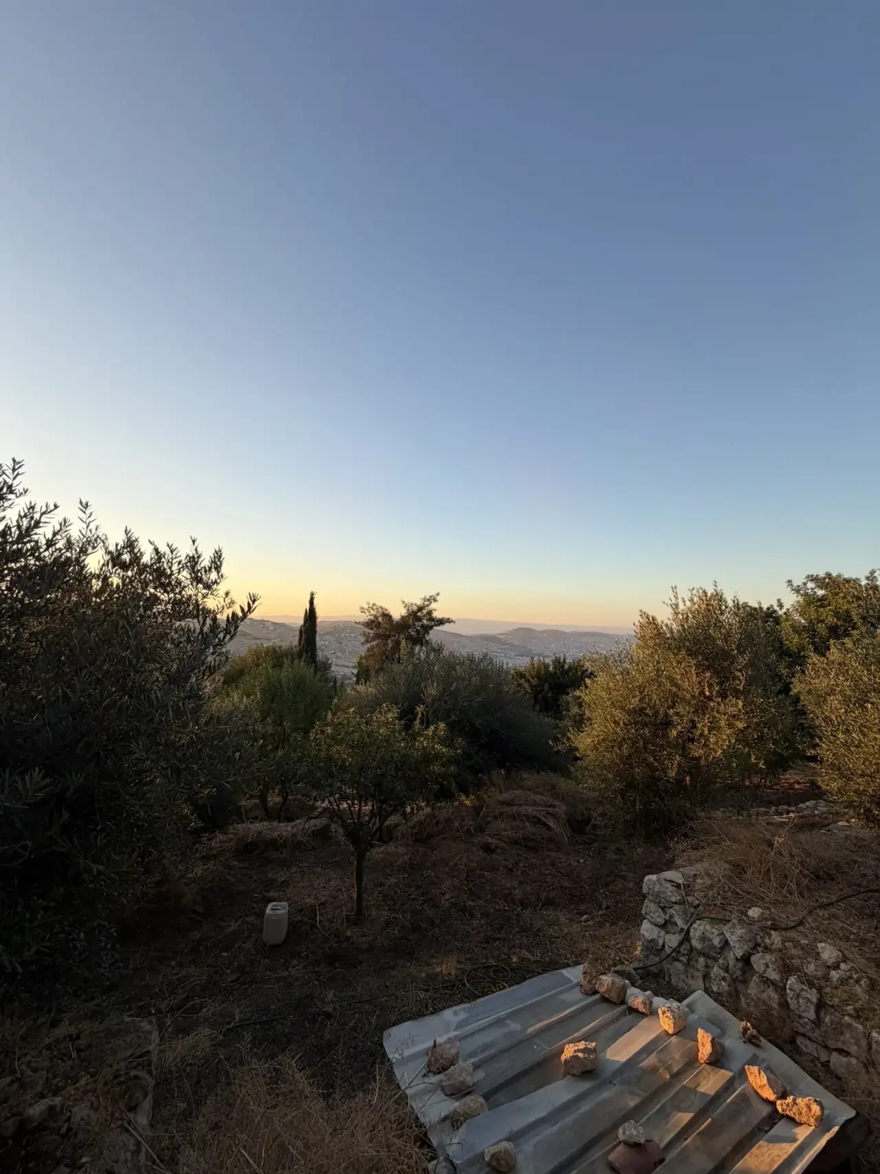 Land for sale in Al Kamaliya – photo 4