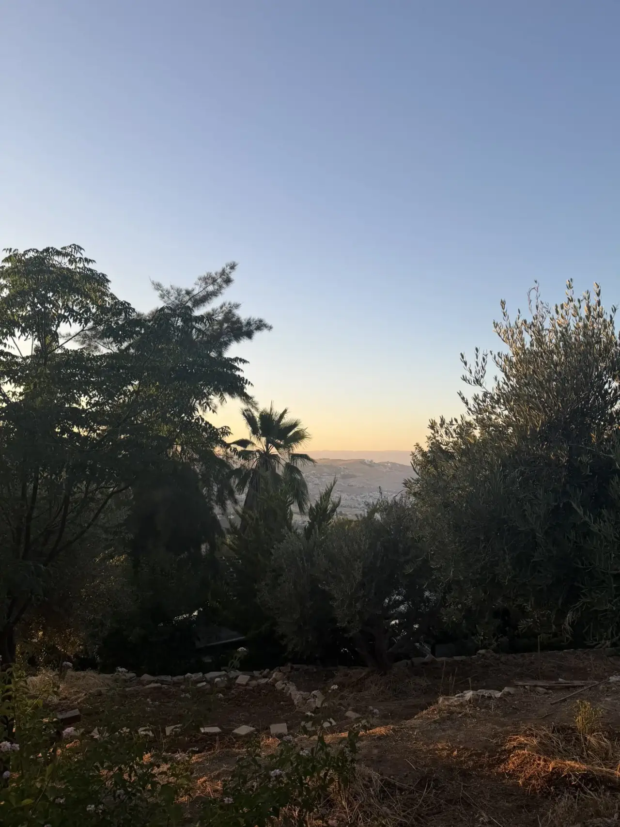 Land for sale in Al Kamaliya – photo 6