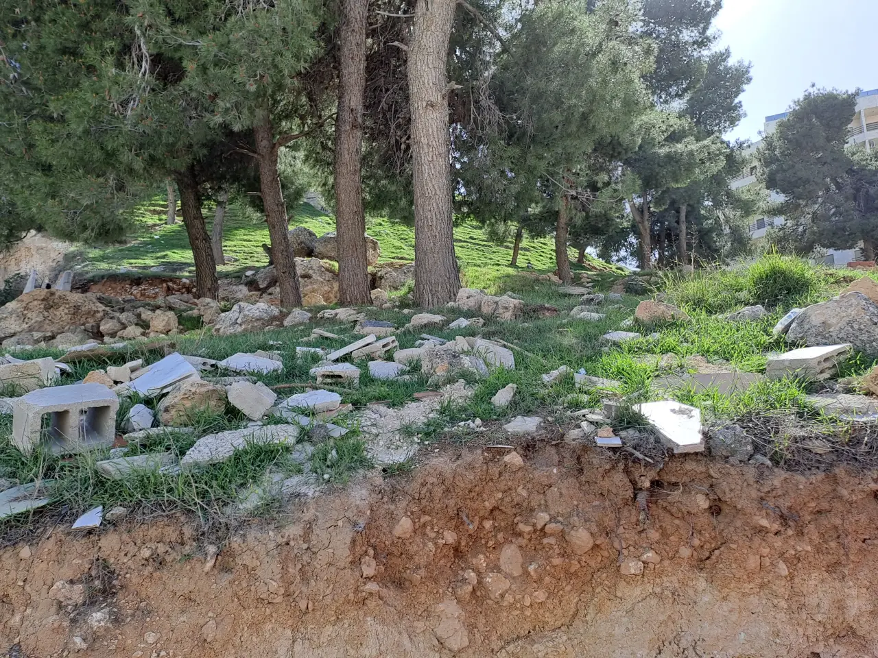 Land for sale in Al Kamaliya – photo 3