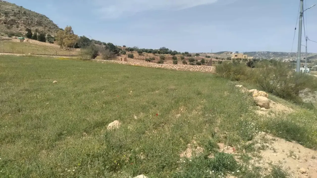 Land for sale in Iraq Al Ameer – photo 2