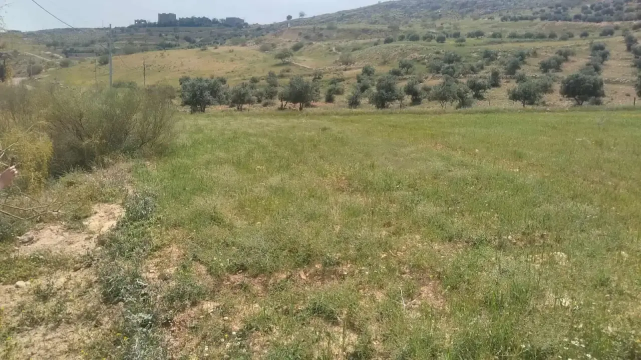 Iraq Al Ameer 8-dunum mixed-use plot for sale at a good price