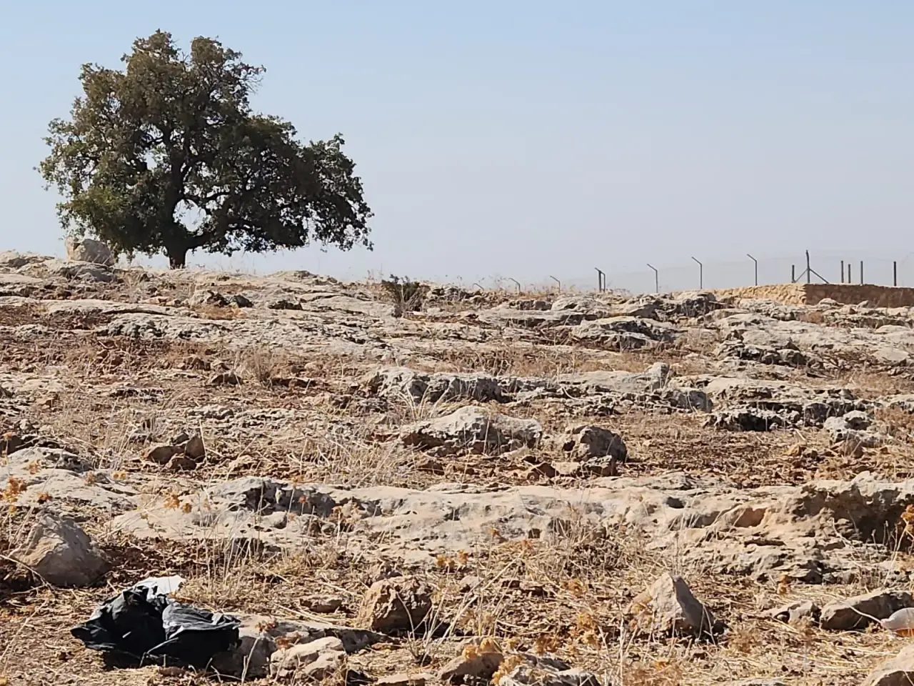 Land for sale in Iraq Al Ameer – photo 14