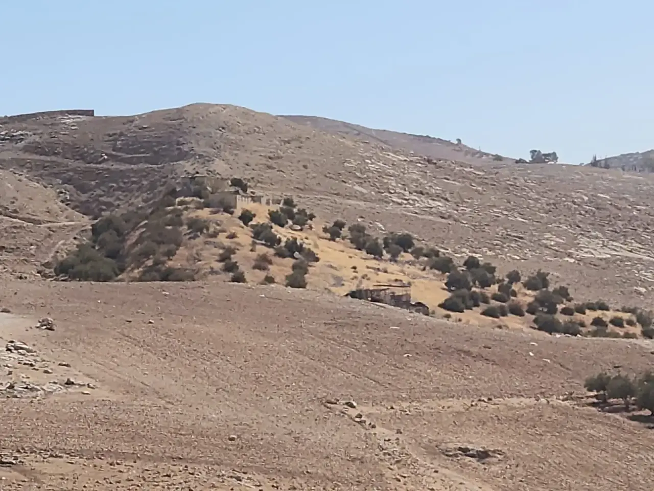 Land for sale in Iraq Al Ameer – photo 10