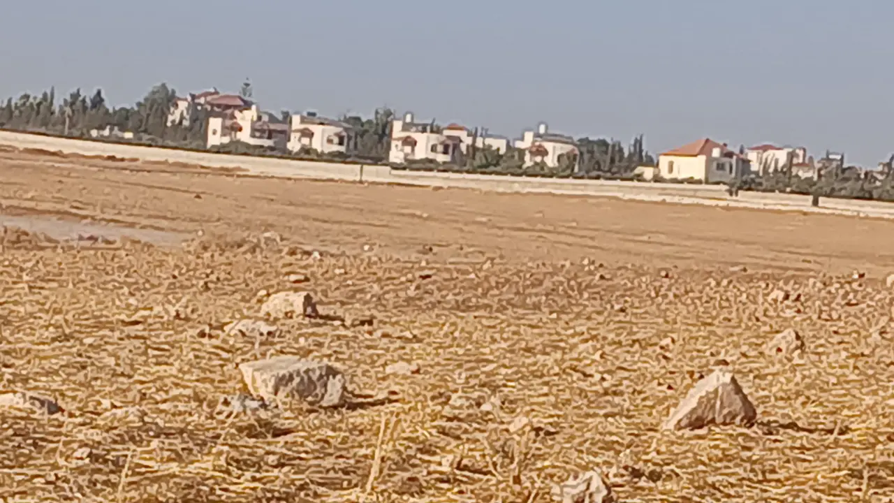 Land for sale in Um Al Basateen – photo 6