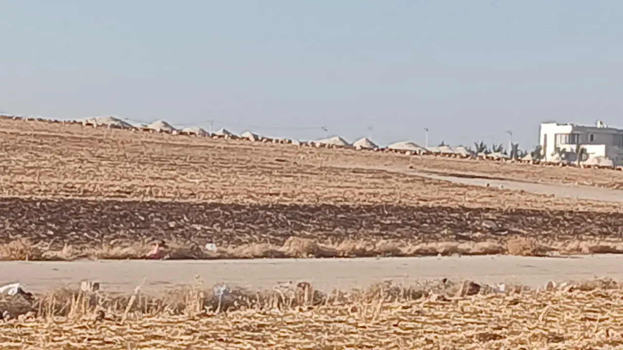 Land for sale in Um Al Basateen – photo 8