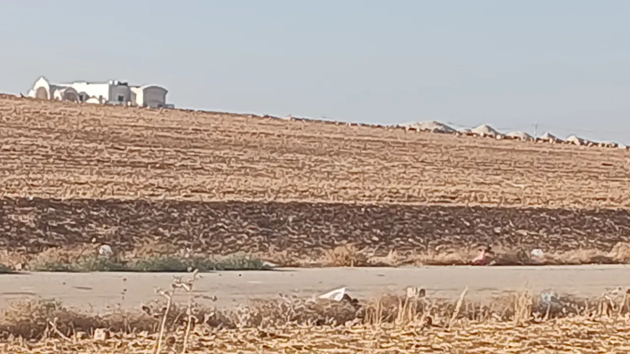 Land for sale in Um Al Basateen – photo 9