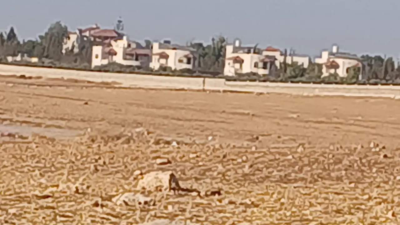 530 m² Residential B plot for sale in Manja, Tasan basin, on a paved 14 m street
