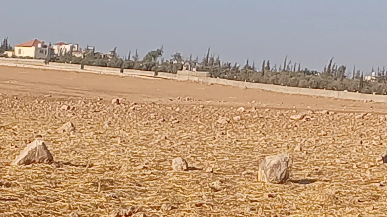 Land for sale in Um Al Basateen – photo 5