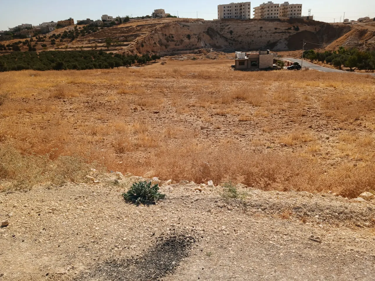 Residential A plots of 901-990 m² with separate deeds for sale in Husban, from 53,000 JOD