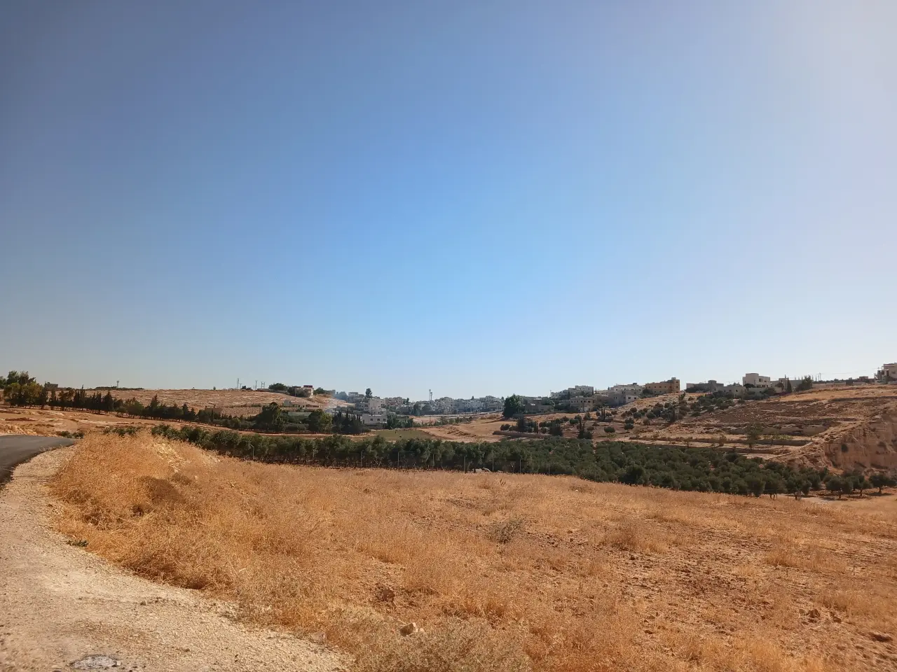 Land for sale in Husban – photo 4
