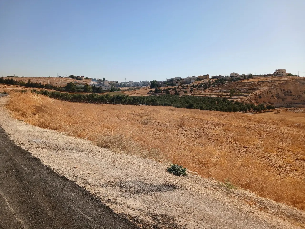 Land for sale in Husban – photo 5
