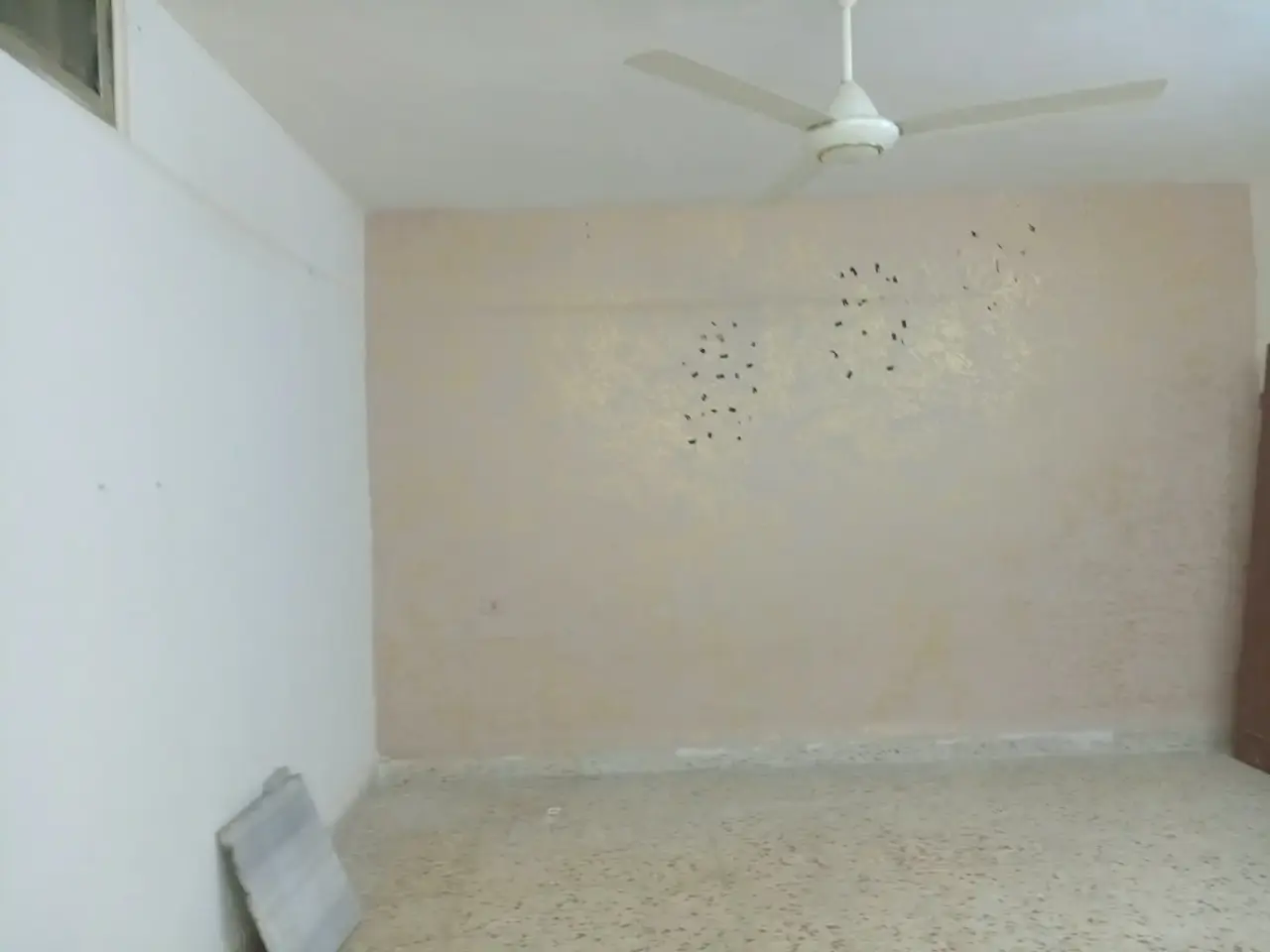 Apartment for rent in Mojamma' Al Aghwaar Al Jadeed – photo 4