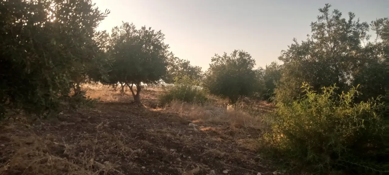 650 m² farmland for sale in Al-Mokhaba Al-Tahta overlooking Al Hamma and Lake Tiberias