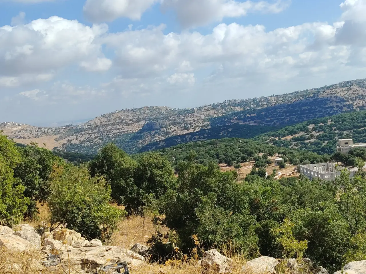 Land for sale in Zubiya – photo 4