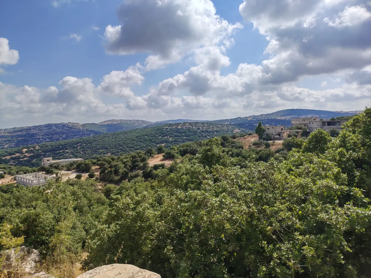 Land for sale in Zubiya – photo 3