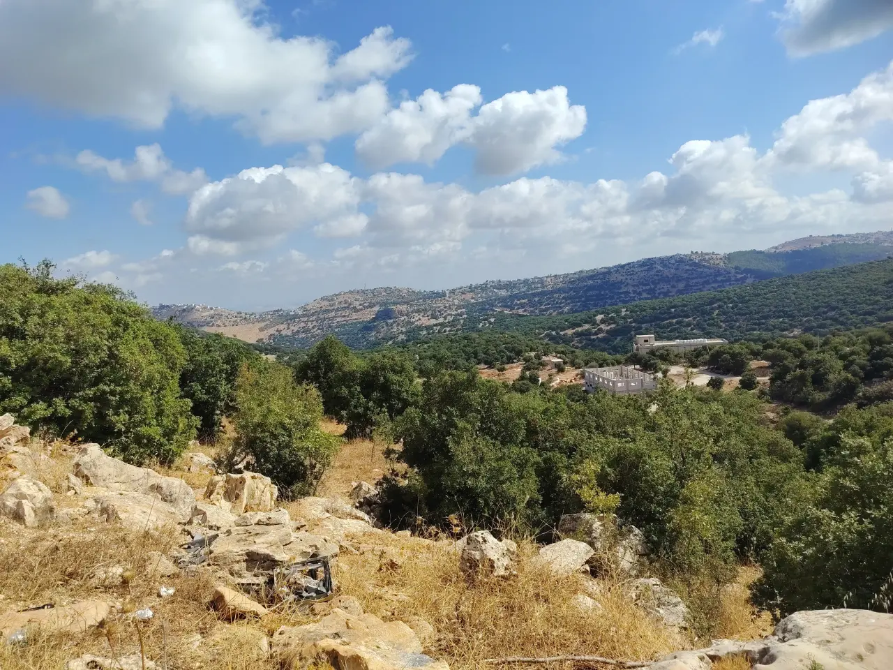 Land for sale in Zubiya – photo 5