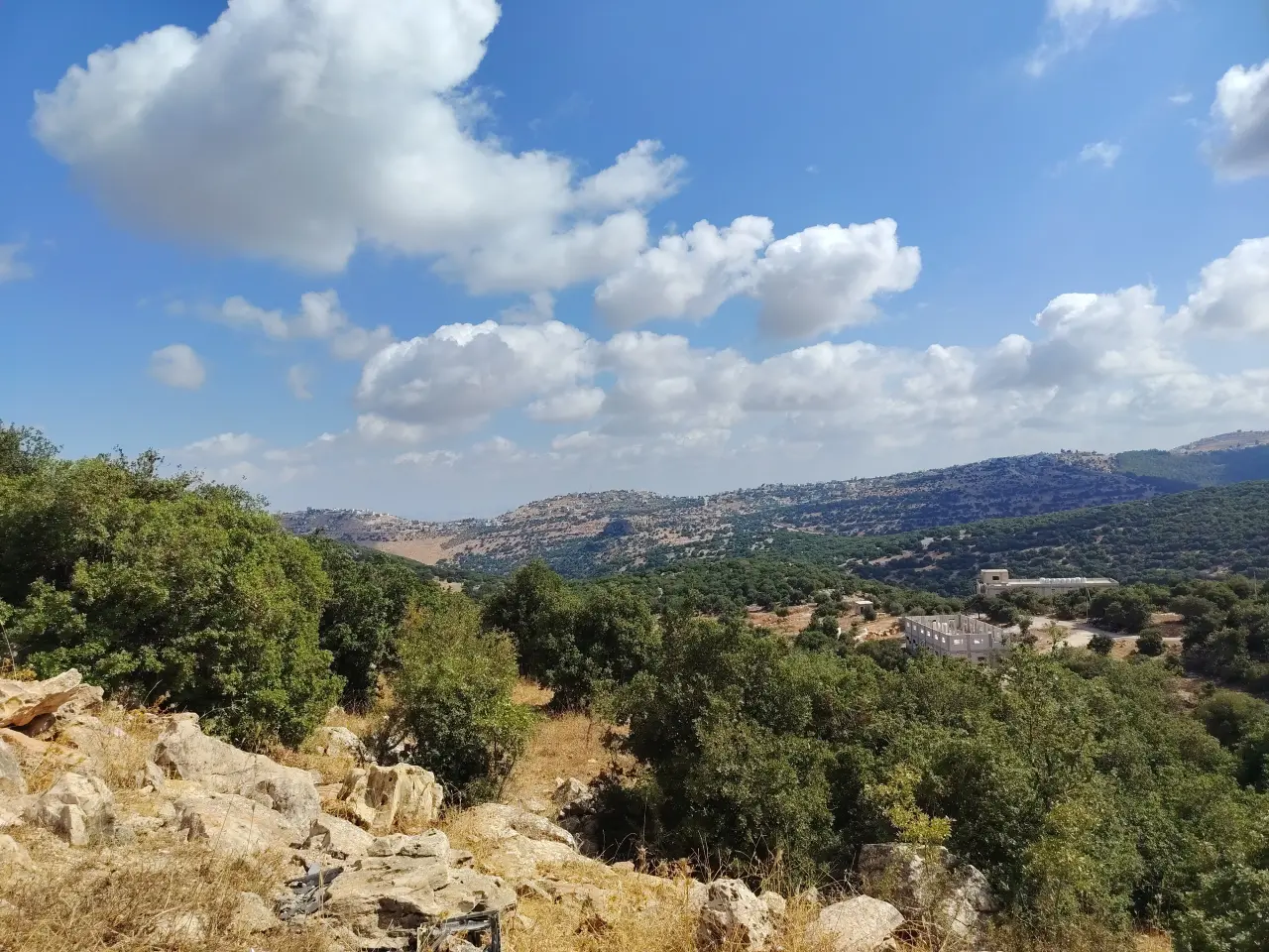 Land for sale in Zubiya – photo 2
