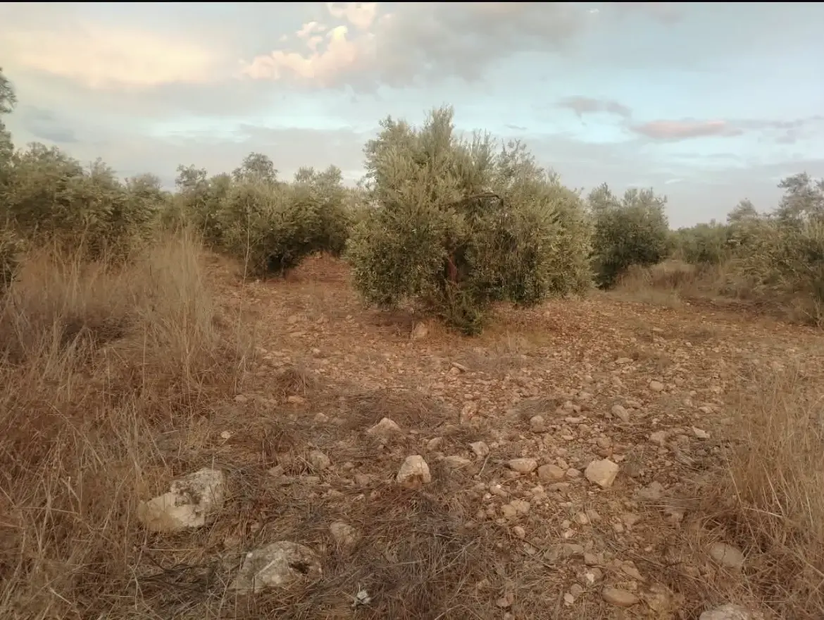 Land for sale in Hawr – photo 8