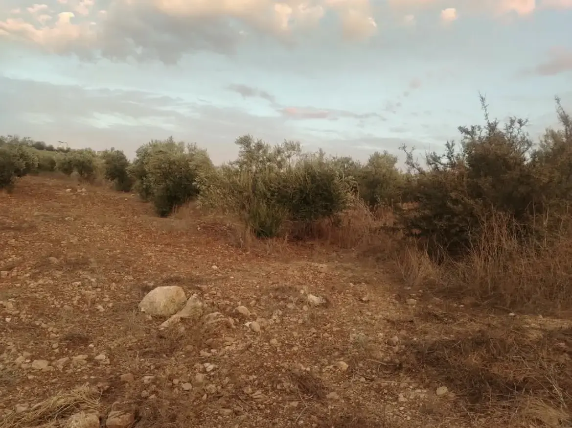 Land for sale in Hawr – photo 7